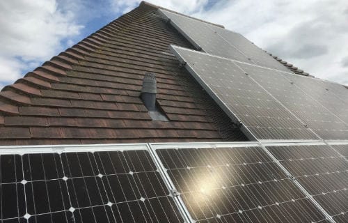 Pigeon Proofing Solar Panels Kent