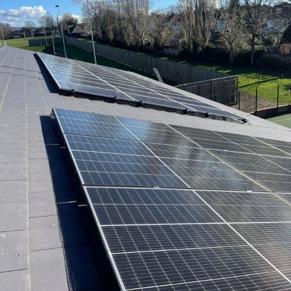 Commercial Solar Panel Bird Proofing Kent